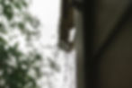 Rainwater cascades from a corner of a roof, with droplets visibly splashing as they fall. Tree leaves are visible to the left