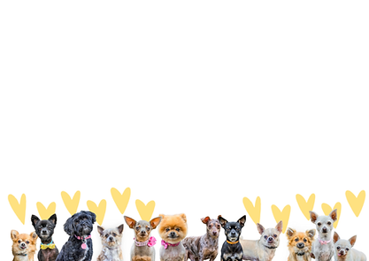 tiny tails 2023 Wall Calendar.png