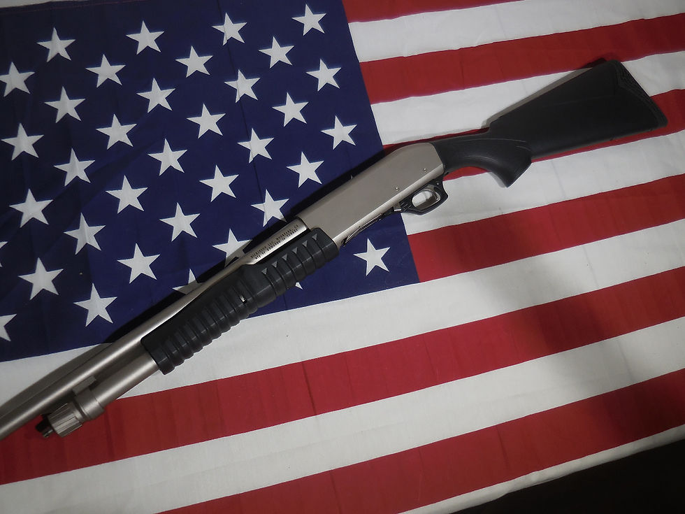 Thumbnail: Dickinson XX2-S 12 Gauge 18.5" Pump Action, Silver/Black - XX2-S-M