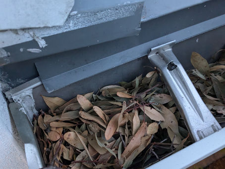 Why Gutter Cleaning Services in Tampa Are Essential for Homeowners