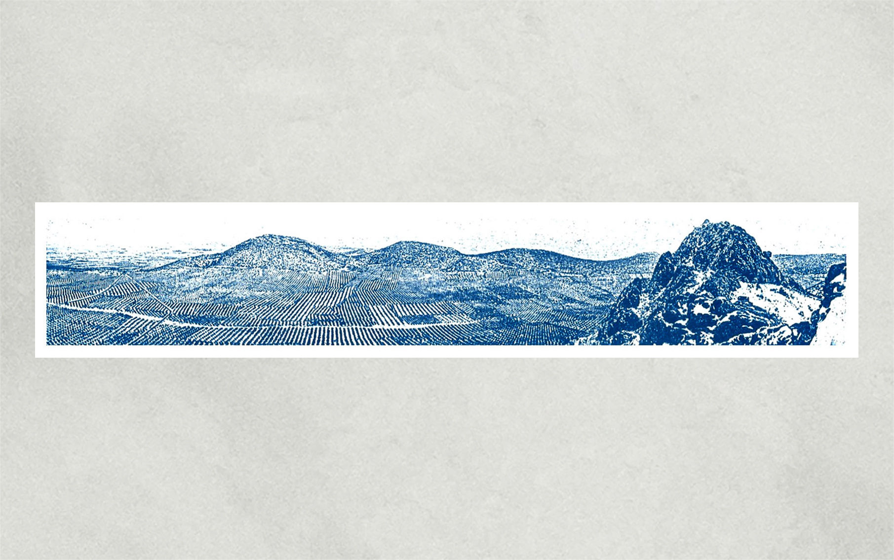 102.- Marcapáginas Mar de Olivos - Mora - (20x4)