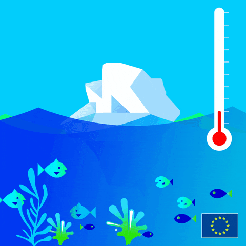 sea level.gif