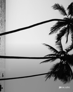 HAVE YOU EVER HEARD OF PHU QUOC? HERE’S 6 REASONS WHY THE ISLAND’S ‘SOUL BOUTIQUE’ HOTEL IS SOFT-LUXURY PERSONIFIED!