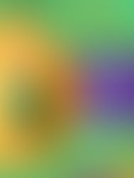 Gemma Kleider Tauschen