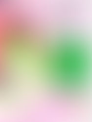 Hosen-Wochenende im Hartrium