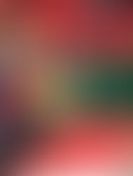 Veranstaltung: Weihnachtliche Geschichten in der Adventszeit