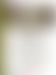 Workshop: Bienenfreundlich Garteln