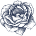 8.png