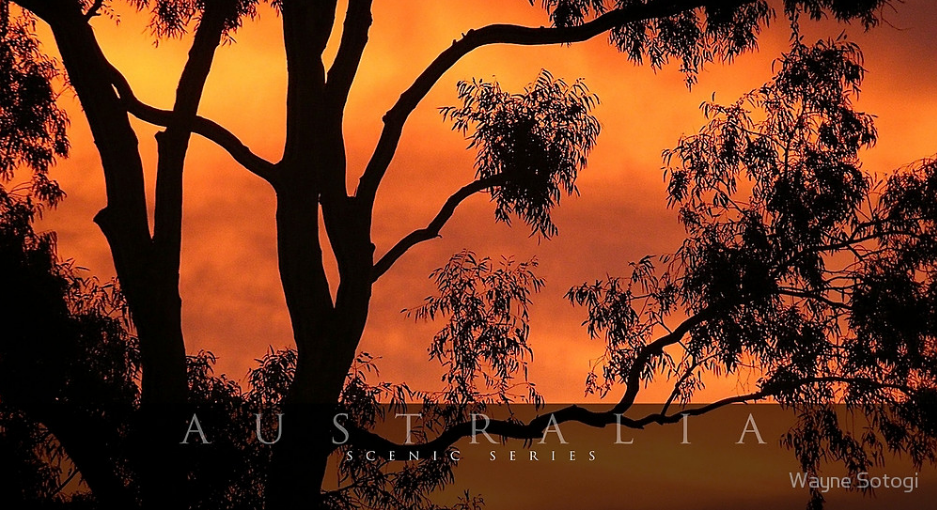 Australian Scenic Series 19