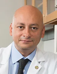 Mollapour_Medhi_PhD_lab_model_51f3.webp