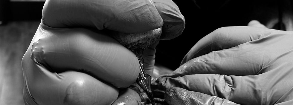 IMG_1618_edited.jpg