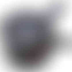 Teekanne (Kyusu) Kōkina bigaku 210 ml kaufen