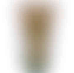 Matcha-Bambusbesen (Chasen) kaufen