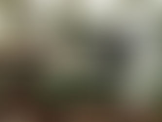 Outdoor Furniture To Prepare You And Your Outdoor Area For Spring/Summer