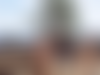 Some Stark Naked Swim Camp Horse Riding instructors