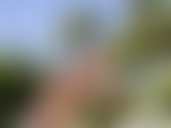 For an 18 year old guy, a stay at Stark naked Summer Camp is a great idea!