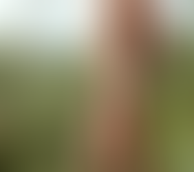 Look at all the land I own!