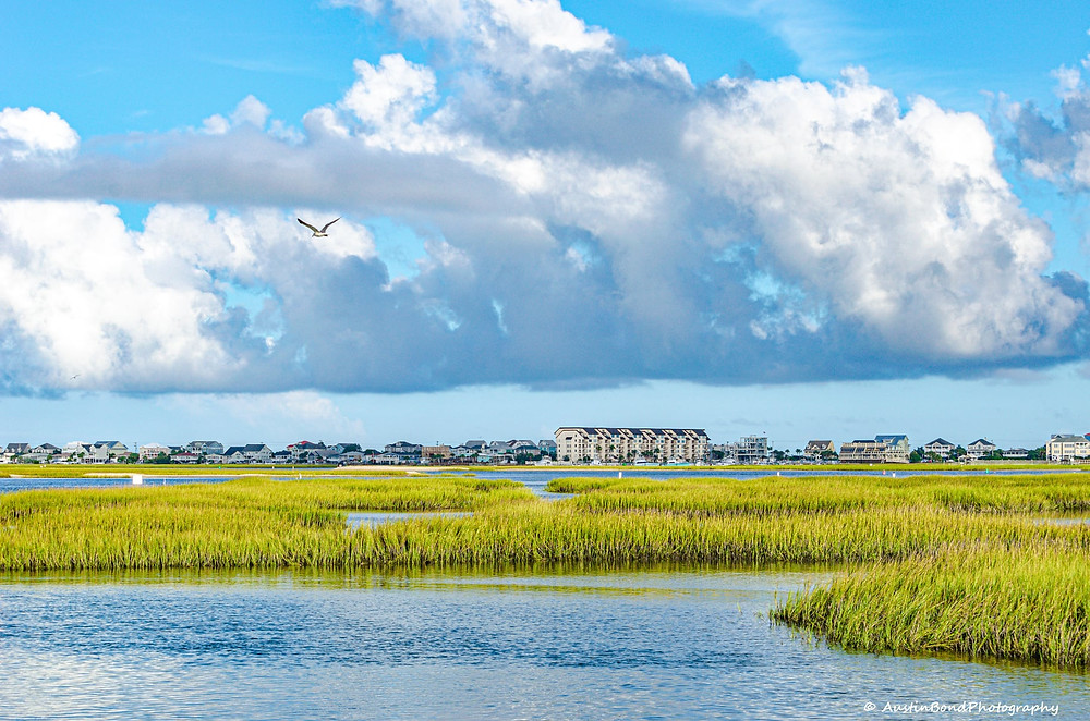 Enjoy your Myrtle Beach vacation at Grand Palms Resort formerly plantation resort