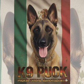 AGUASCALIENTES REFUERZA SU SEGURIDAD CON NUEVO AGENTE K9 EXPERTO EN DETECCIÓN DE EXPLOSIVOS