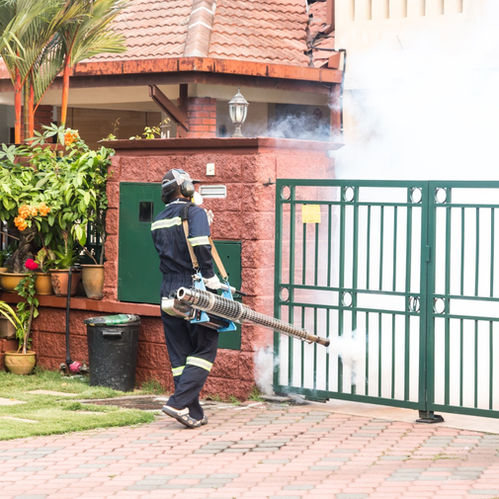 AGUASCALIENTES REFUERZA LA PREVENCIÓN DEL DENGUE Y PIDE COLABORACIÓN CIUDADANA