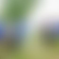 EL MUNICIPIO DE AGUASCALIENTES IMPULSA NUEVA INFRAESTRUCTURA DEPORTIVA Y RECREATIVA