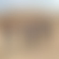 IMPULSAN CON FUERZA EL DESARROLLO DEL CAMPO