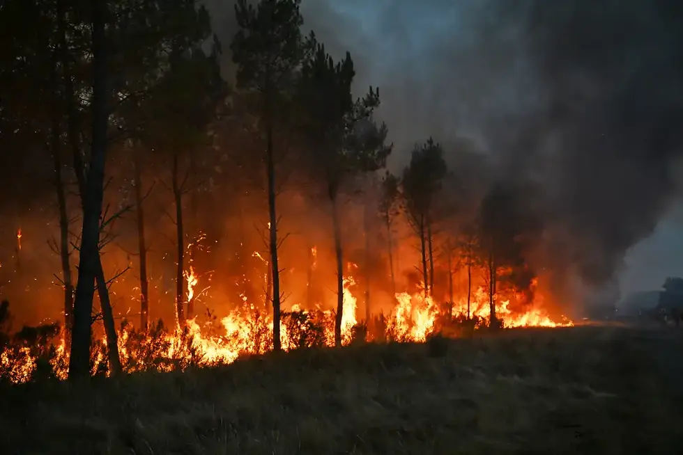 INCENDIOS FORESTALES EN FRANCIA OBLIGAN A EVACUAR A 250 MIL PERSONAS Y AMENAZAN BURDEOS