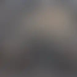 REGRESA LA FÓRMULA UNO