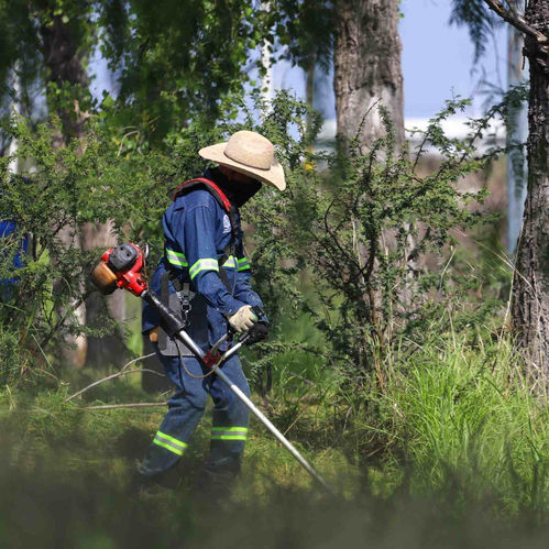 SE LLEVA A CABO NUEVO MEGA OPERATIVO DE LIMPIEZA EN LA CARRETERA AL AEROPUERTO