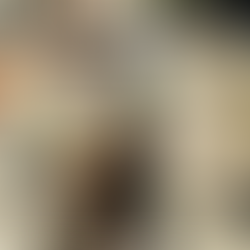 REALIZA MIAA OBRA DE SUSTITUCIÓN DE TUBERÍA SANITARIA EN AVENIDA INDEPENDENCIA