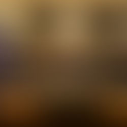 INICIA OPERATIVO COMETA PARA EVITAR LA VENTA Y USO DE PIROTECNIA EN TEMPORADA DECEMBRINA