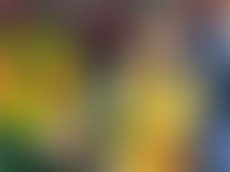 SE REFUERZA EL RUMOR DE LA POSIBLE LLEGADA DE FIDALGO A LA SELECCIÓN MEXICANA