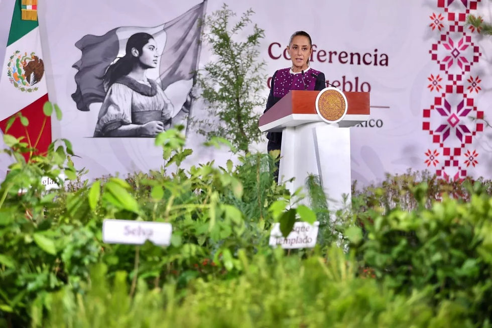 SE BUSCARÁ PLANTAR MÁS DE SEIS MILLONES DE ÁRBOLES EN JORNADA NACIONAL, AGUASCALIENTES YA APORTA MÁS DE 300 MIL EN 2026