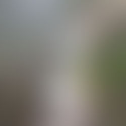 SE REALIZAN PATRULLAJES POR AIRE Y TIERRA PARA LA SEGURIDAD DE LAS FRONTERAS DEL ESTADO