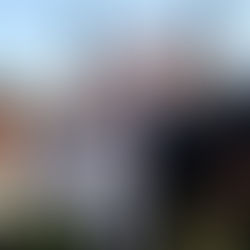 SULTANES DE MONTERREY SE MIDE A LOS GIGANTES DE SAN FRANCISCO