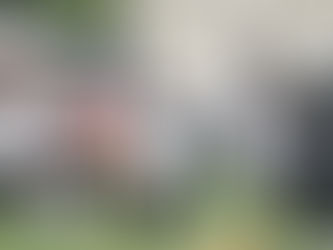 LA NFL ENTRA EN SU ETAPA MÁS INTENSA CON EL ARRANQUE DE LOS CAMPAMENTOS DE ENTRENAMIENTO