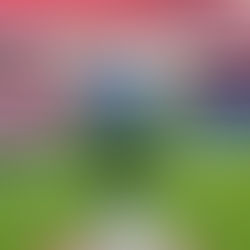 TAMBIÉN ARRANCA HOY LA PRIMERA FASE DE LA CHAMPIONS LEAGUE