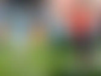 LA “FINALÍSIMA” ENTRE ESPAÑA Y ARGENTINA AÚN NO TIENE FECHA DEFINIDA