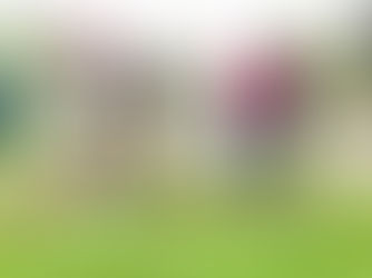 AHORA LAS MUJERES DEL CAMPO TIENEN MÁS OPORTUNIDADES DE INGRESOS CON EL PROGRAMA DE EMPLEO TEMPORAL