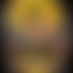 SE PRESENTA LA FUNCIÓN DE BOX DE LA FNS 2026