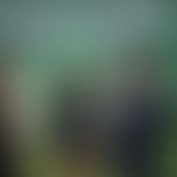 ENTREGA “TERE” JIMÉNEZ PREMIO A INSTITUCIONES COMPROMETIDAS CON EL MEDIO AMBIENTE