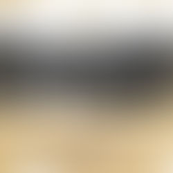 SAQUE SU VIEJA RILA Y UNASE A LA NUEVA RODADA A LA ANTIGUA POR PARTE DEL MUNICIPIO