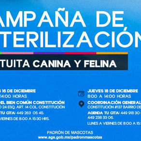 MUNICIPIO E ISSEA REALIZARÁN JORNADAS DE ESTERILIZACIONES CANINAS Y FELINAS EN LA CONSTITUCIÓN Y LA PURÍSIMA