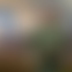 EL FUTURO DE SEBASTIÁN CÓRDOVA EN TIGRES ENTRE CONTINUIDAD Y CAMBIO