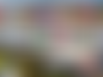 SE VIENE PARTIDAZO DE CRUZ AZUL VS TIGRES Y NECAXA Y PACHUCA ESTÁN FORZADOS A GANAR EN EL ARRANQUE DE LA JORNADA 12 DE LA LIGA MX