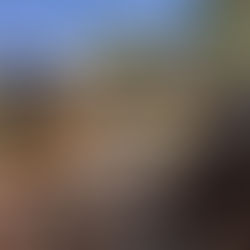 PERMANECE LEO MONTAÑEZ ATENTO A CONTINGENCIAS TRAS INTENSA LLUVIA