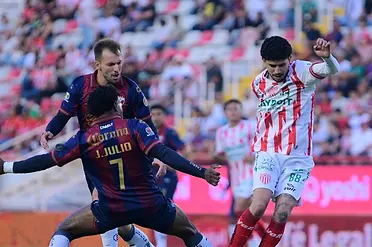 13.webp