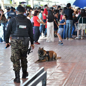 INVITA POLICÍA MUNICIPAL A PRESENCIAR EXHIBICIONES DEL GRUPO K-9 EN LA ISLA SAN MARCOS