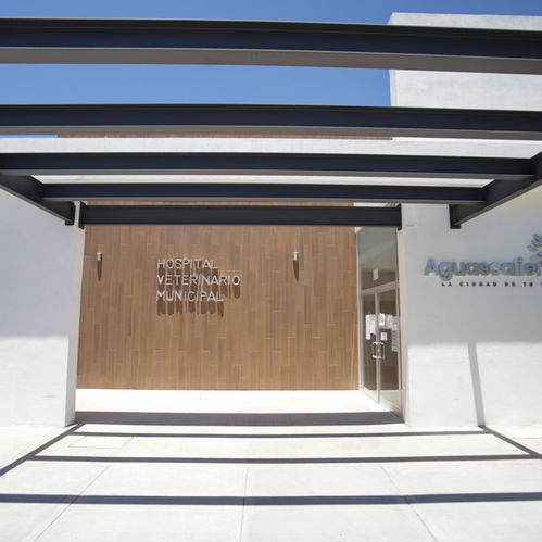 HOSPITAL VETERINARIO MUNICIPAL DICE QUE AHORA SÍ SE ESPERA QUE ESTÉ LISTO EN SEPTIEMBRE