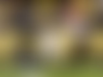 EN EL INICIO DE LA SEMANA 7 BENGALS LE PEGAN A LOS ACEREROS